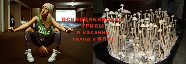 спиды Карпинск